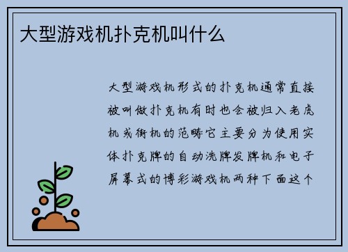 大型游戏机扑克机叫什么